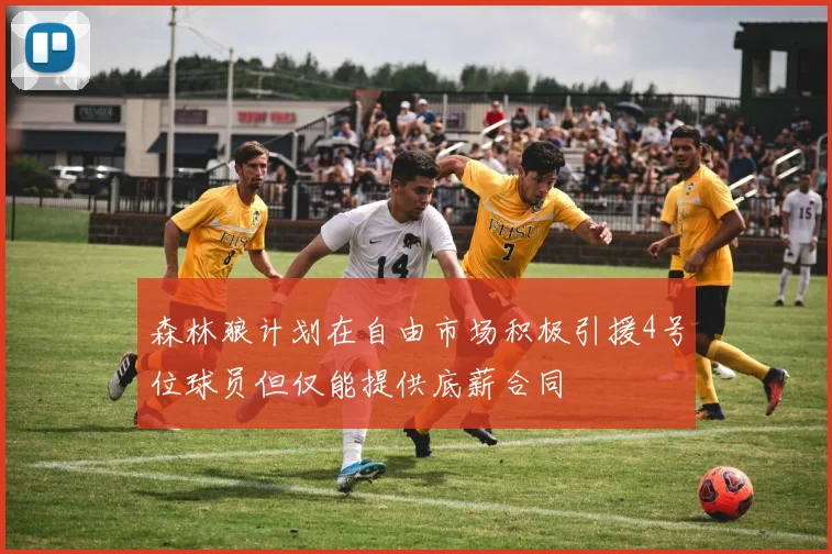森林狼计划在自由市场积极引援4号位球员但仅能提供底薪合同