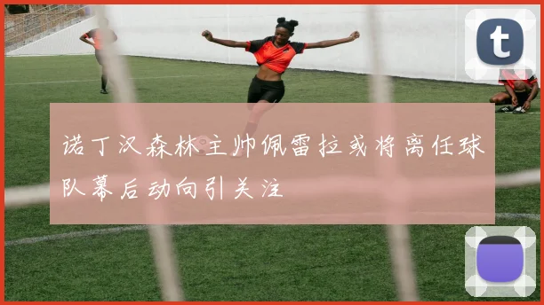 诺丁汉森林主帅佩雷拉或将离任球队幕后动向引关注