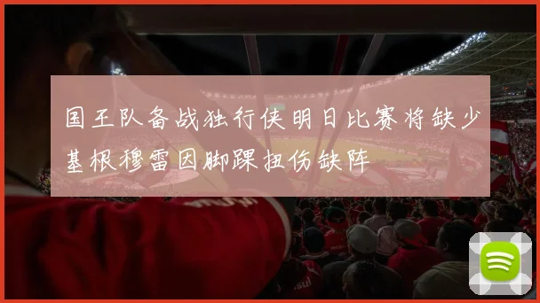 国王队备战独行侠明日比赛将缺少基根穆雷因脚踝扭伤缺阵